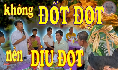 SẦU RIÊNG - KHÔNG NÊN - ĐỐT ĐỌT - NÊN - DÌU ĐỌT 